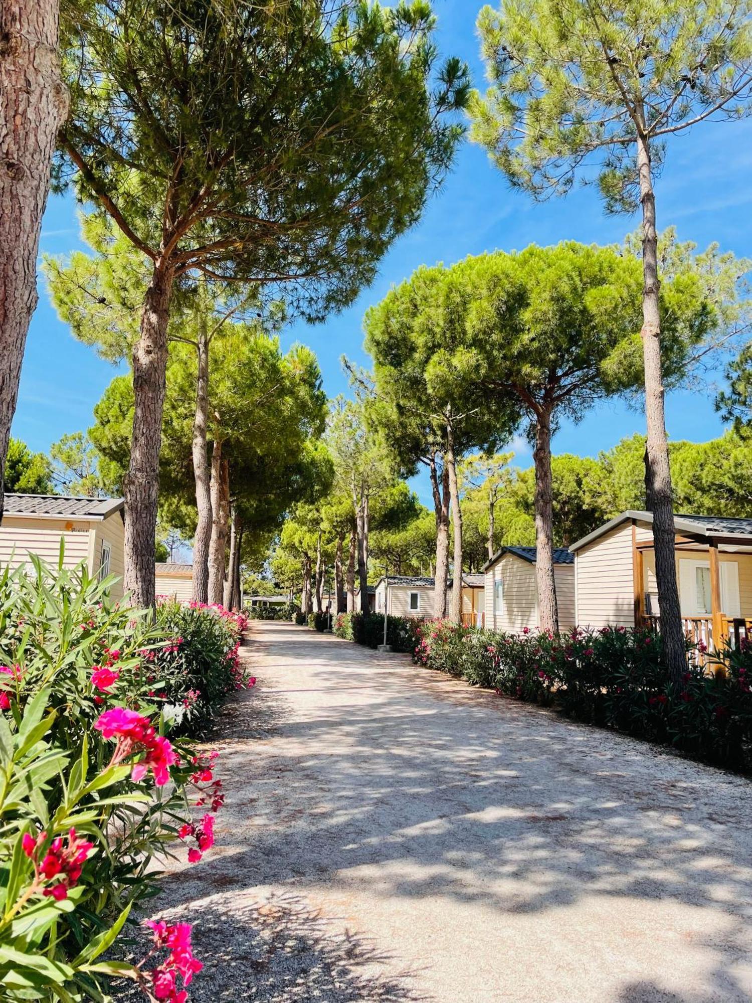 Le Calypso 5 Etoiles Campsite Torreilles